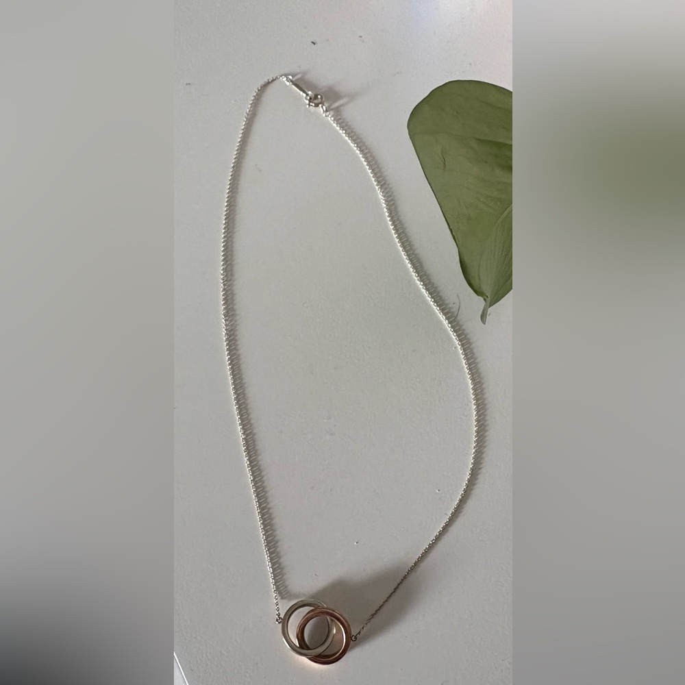 Tiffany & Co Interlocking Pendant Necklace